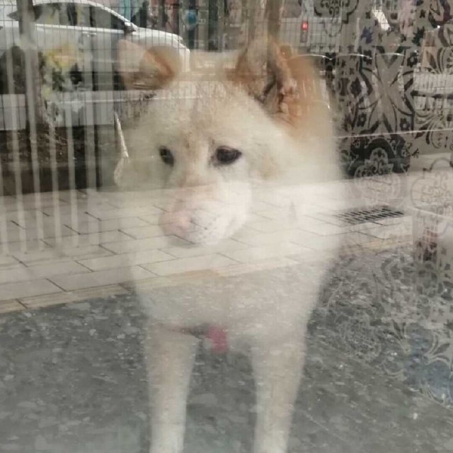 欧皇许大仙